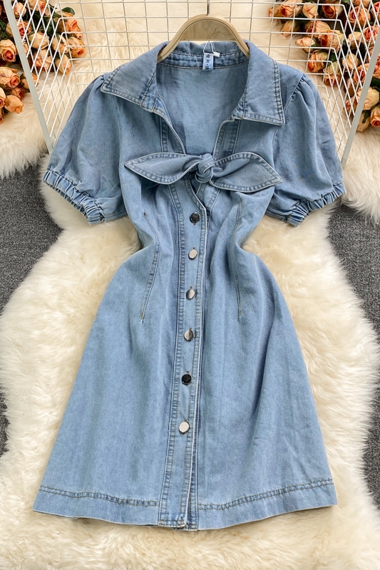 Small Denim Dress for Women New Summer French Style Temperament Slimming Youthful-Looking Waist-Tight A- line Skirt - Image 7